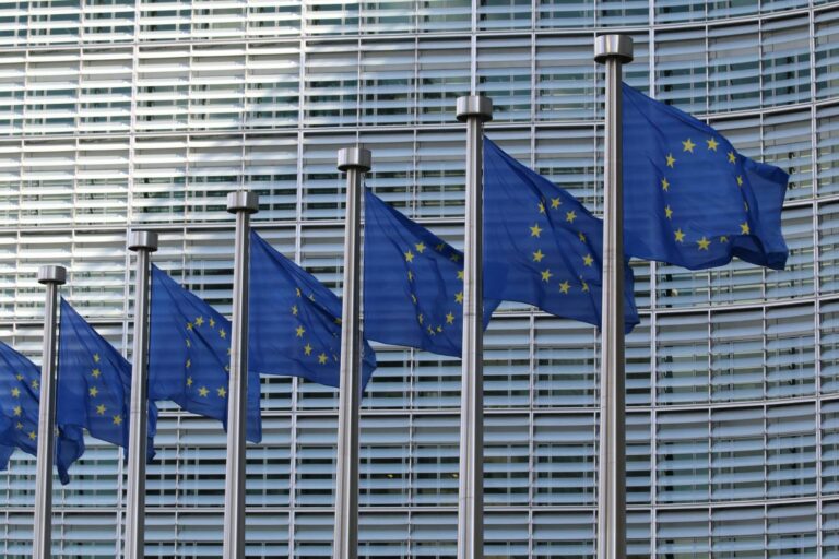 Savet Evrope šalje posmatračku misiju za lokalne izbore u Srbiji
